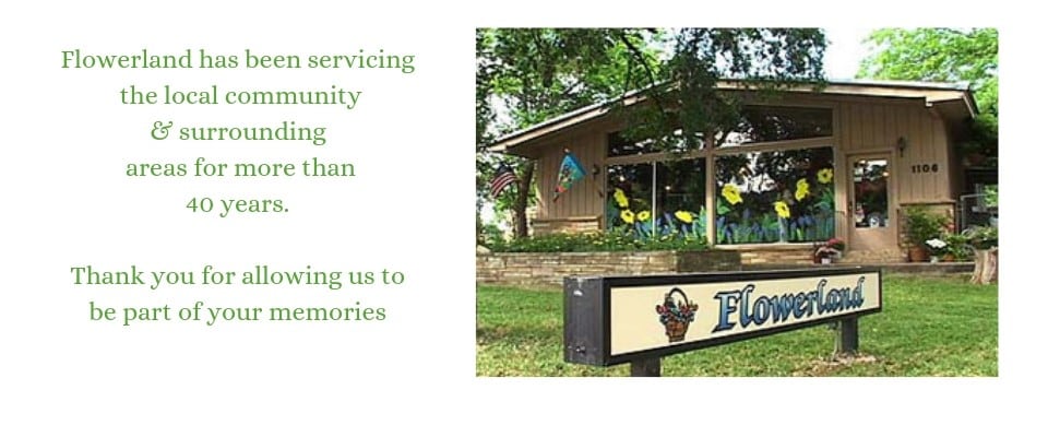 Beautiful Seasonal Flowers Banner